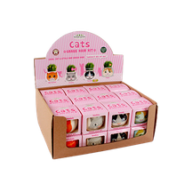 Boîtes de présentation en carton personnalisées